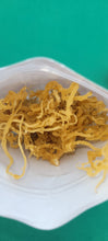 Load image into Gallery viewer, Jamaican Seamoss Gold  (100% Wildcrafted)