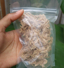 Load image into Gallery viewer, Jamaican Seamoss Gold  (100% Wildcrafted)