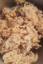 Load image into Gallery viewer, Jamaican Seamoss Gold  (100% Wildcrafted)