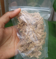 Jamaican Seamoss Gold  (100% Wildcrafted)